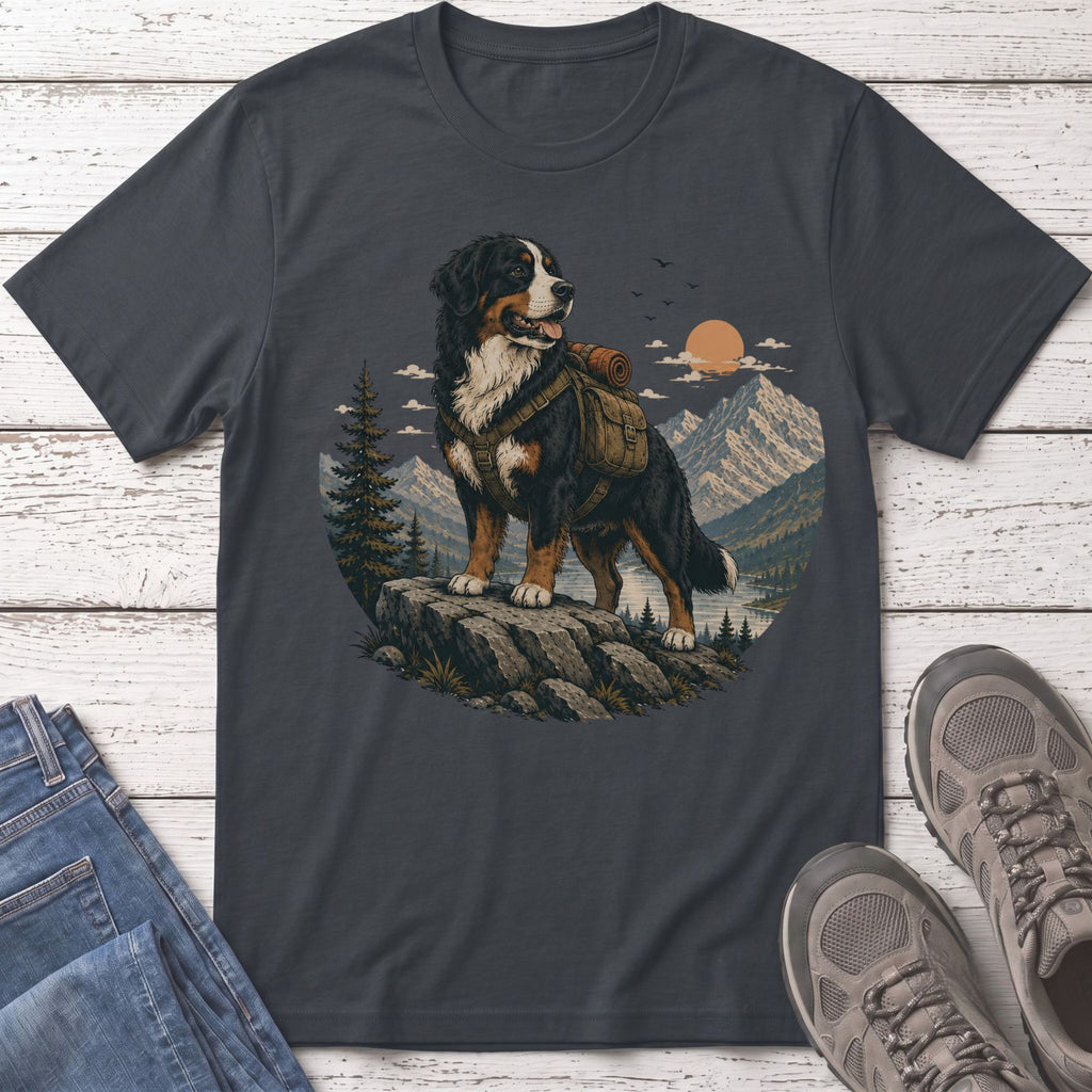 Bernese mountain dog with backpack on rock overlooking scenic mountain lake at sunset.