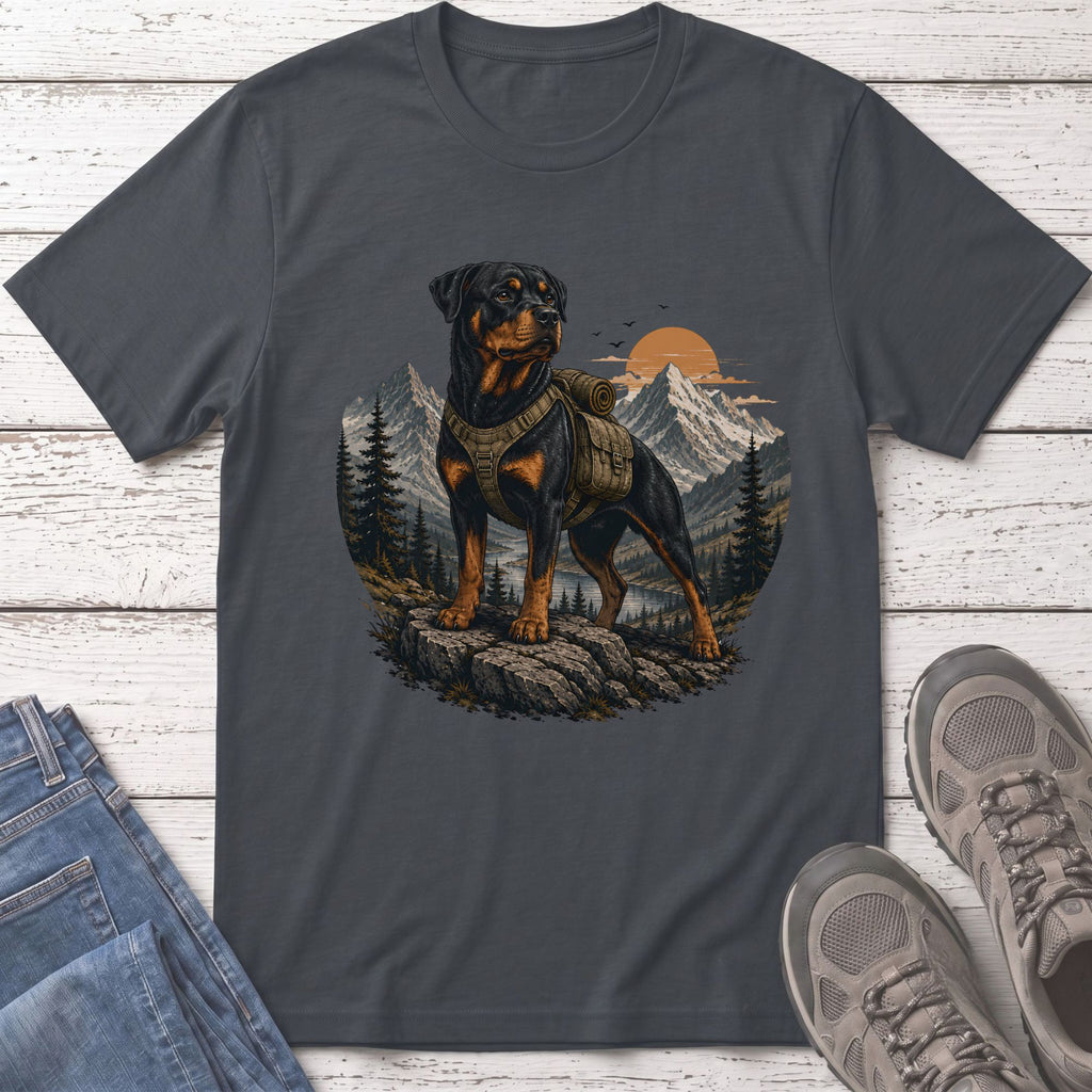 Rottweiler wearing backpack on rocky outcrop with mountains and sunset in background
