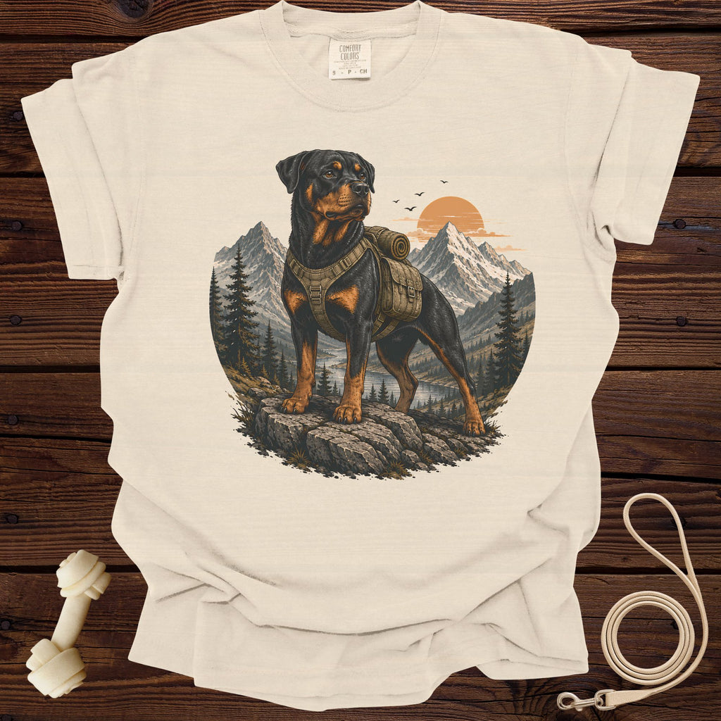 Rottweiler with backpack stands on rocks with mountains and sunset in the background.