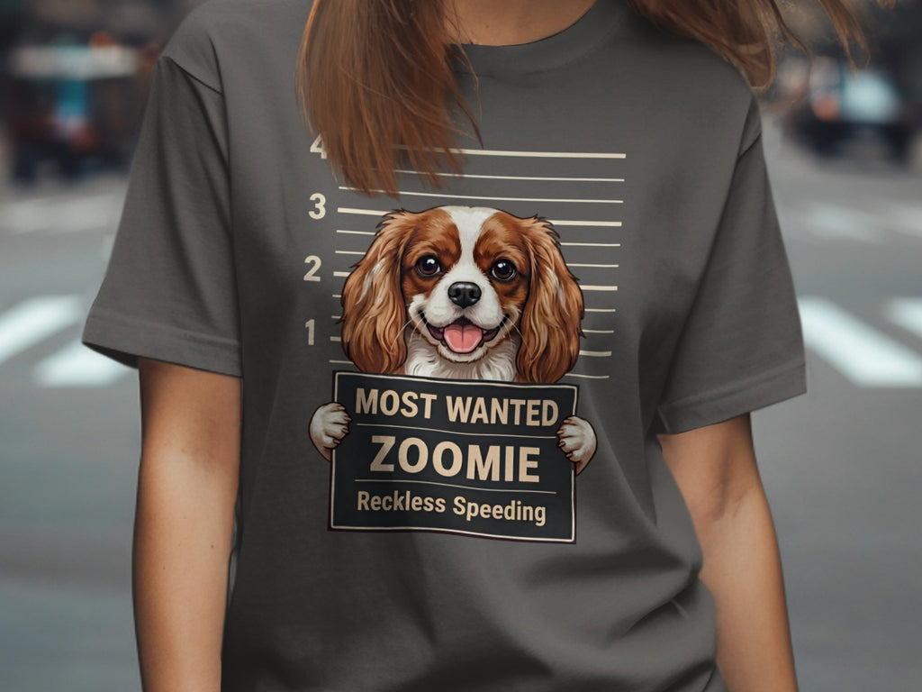 Cavalier King Charles Spaniel mugshot with "Most Wanted Zoomie Reckless Speeding" text.