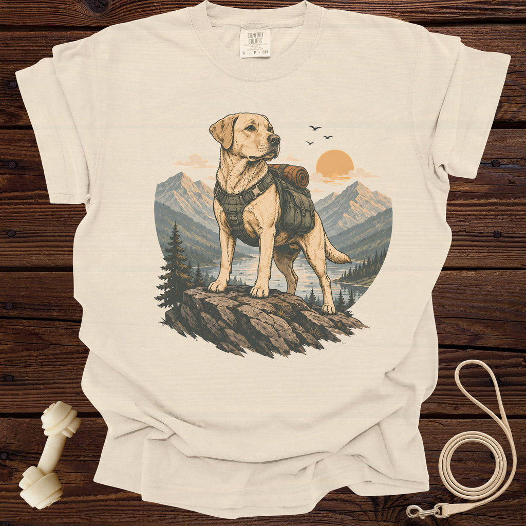 Labrador retriever wearing a backpack stands on a rock overlooking a lake and mountains.