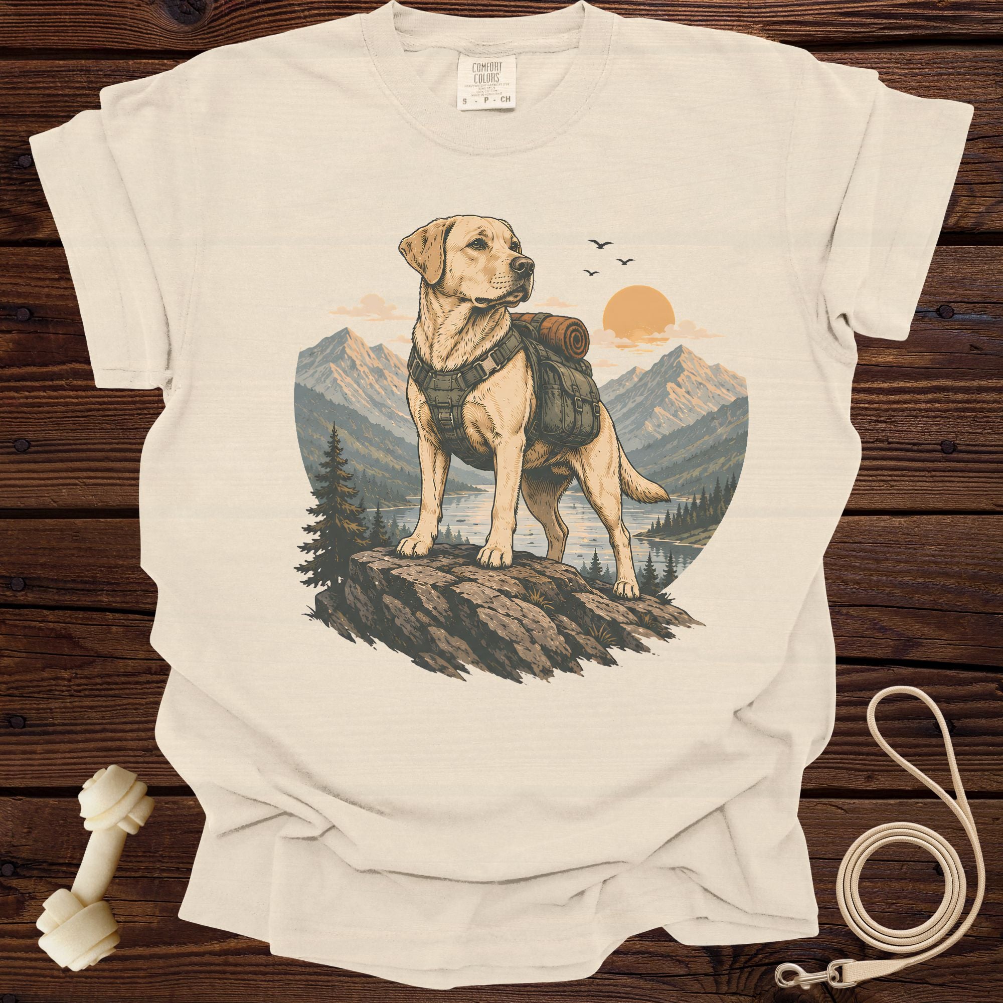Labrador retriever wearing a backpack stands on a rock overlooking a lake and mountains.