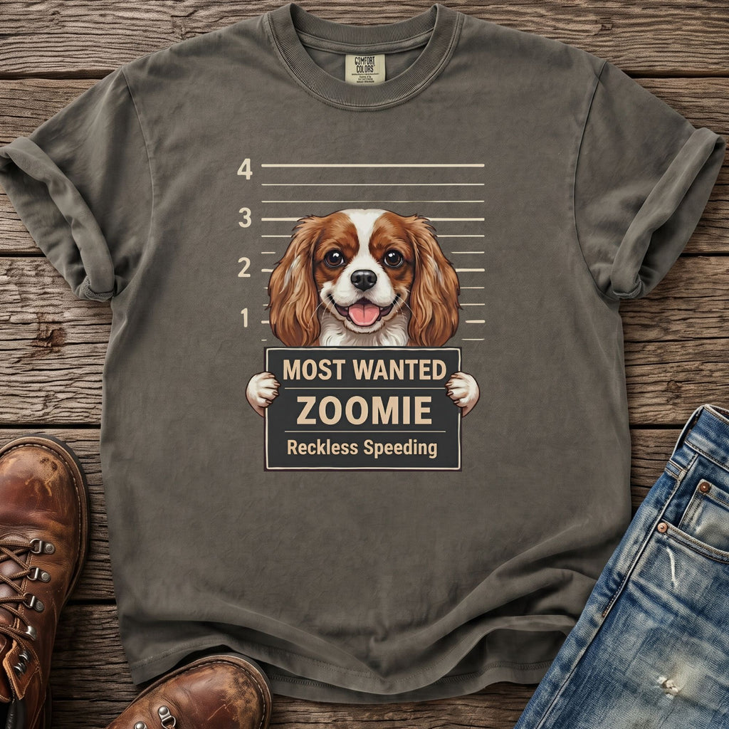T-shirt graphic of a Cavalier King Charles Spaniel with "Most Wanted Zoomie Reckless Speeding" sign.