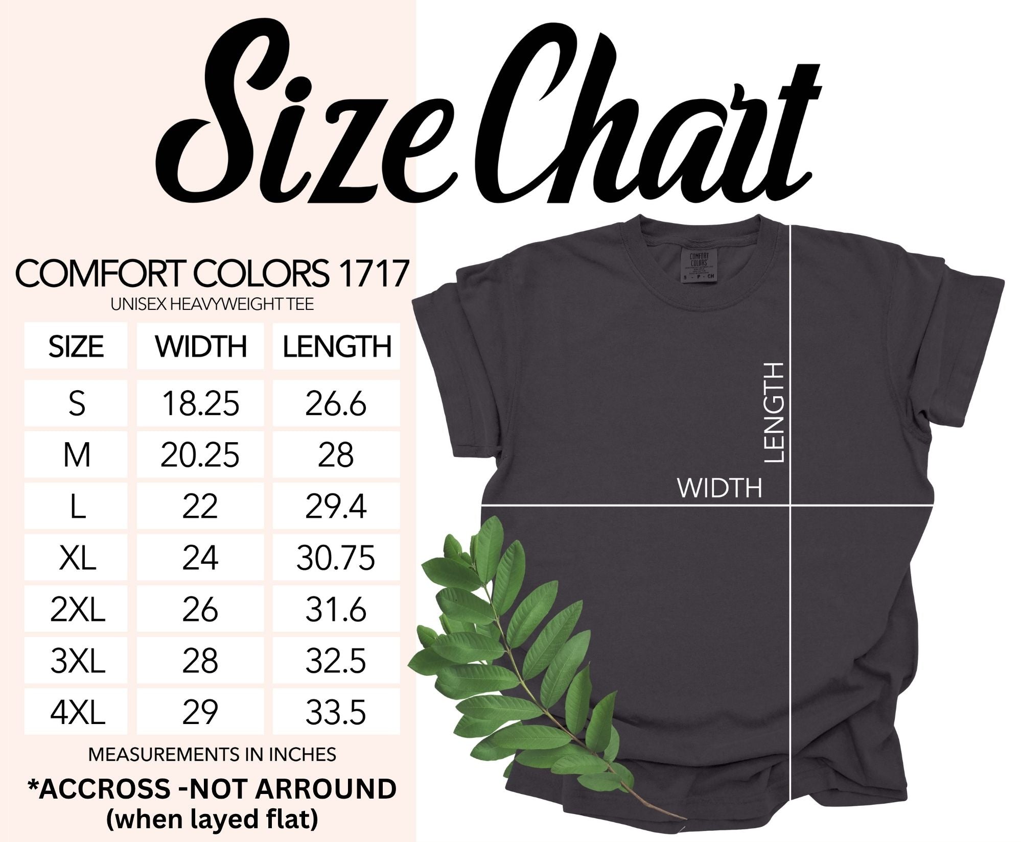 Comfort Colors 1717 unisex heavyweight tee size chart with width and length measurements in inches.