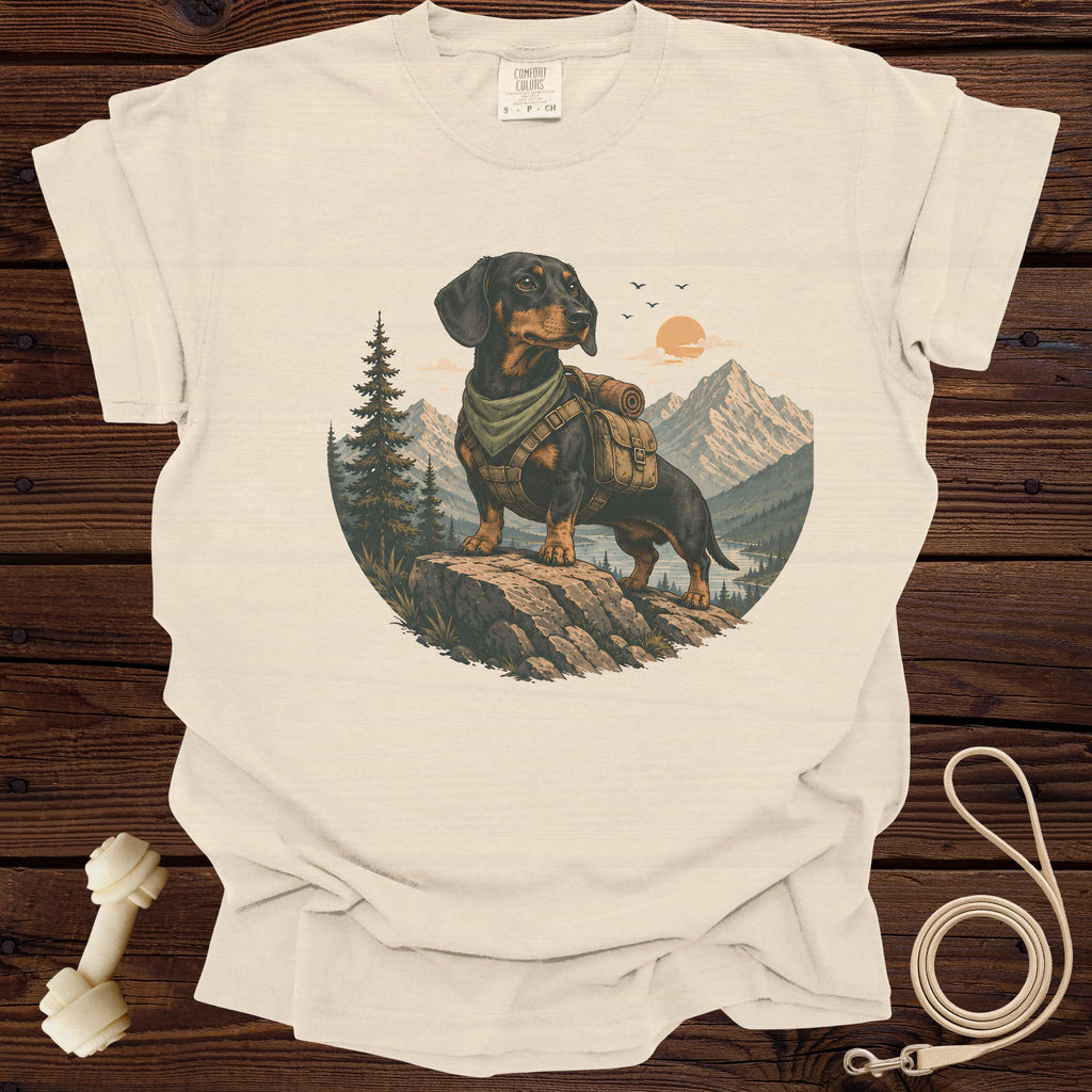 Dachshund with backpack stands on rock with mountain and river landscape.